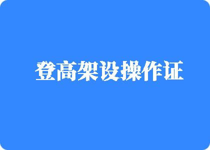 我要干肥婆屁股登高架设操作证